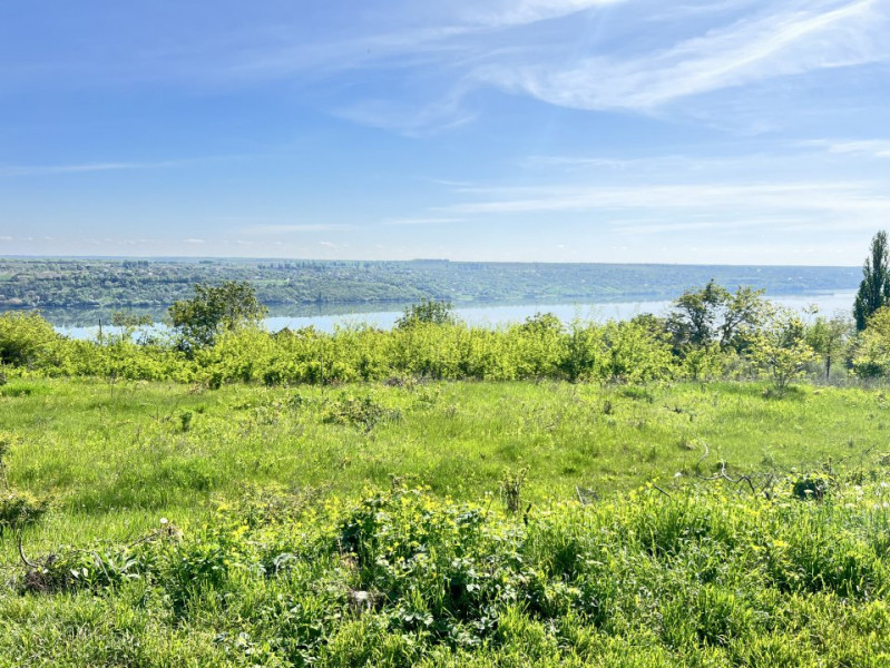 Teren pentru construcție, 25 ari pe malul Nistrului, Holercani.