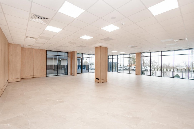 Spațiu de birouri , Clădire individuală 