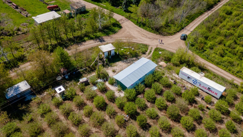 Livadă de alune de 10 ani+ prisacă