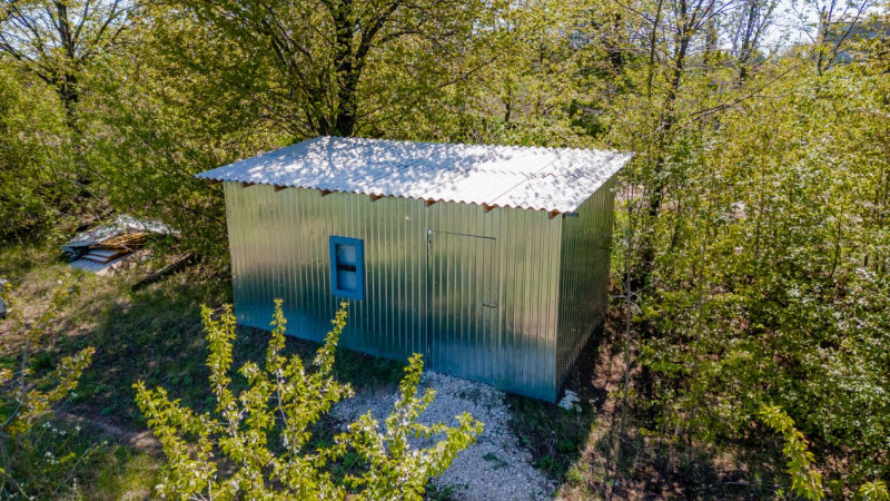 Livadă de alune de 10 ani+ prisacă