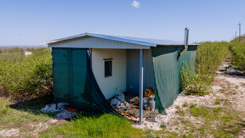 Livadă de alune de 10 ani+ prisacă