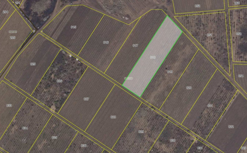 Vanzare teren agrigol în Ialoveni, 54 ari.