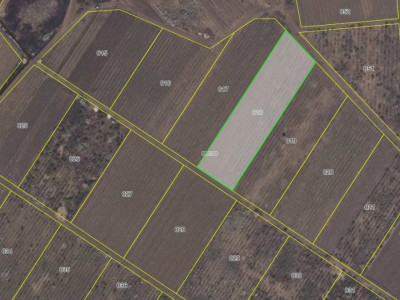 Vanzare teren agrigol în Ialoveni, 54 ari.