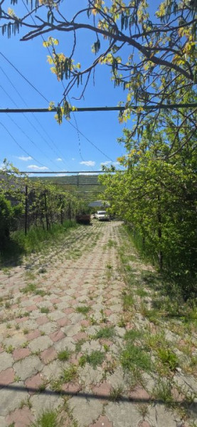 Teren + construcții de vânzare – Grătiești, str. Ștefan cel Mare și Sfânt 