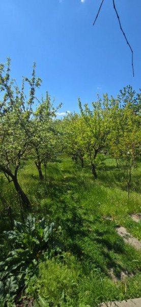 Teren + construcții de vânzare – Grătiești, str. Ștefan cel Mare și Sfânt 