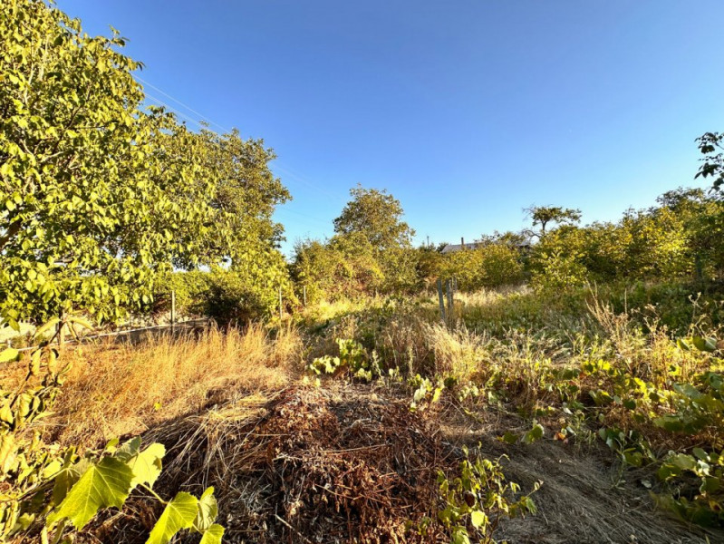 Teren 12 ari, Sângera, ÎP La Odihnă!
